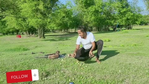 Full entertainment and funny video