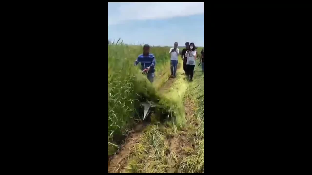 Best Hand Harvesting Skills😎
