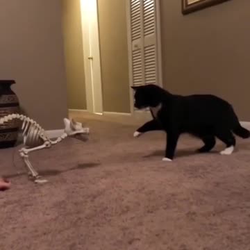 That courage and thirst to attack just got lost in seconds