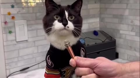 Painting The Abandoned House.cat& keety funny Neighbor Had problem!