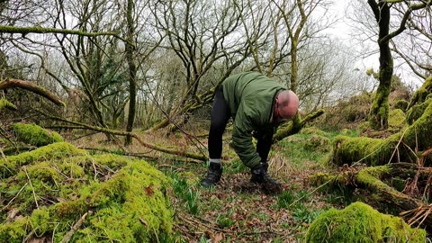 Digging a cathole/poophole wildcamping. Dartmoor 22nd March 2023