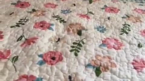 "Cat-alysts of Laughter: Entertaining Cat Videos guaranteed to Make You Smile"
