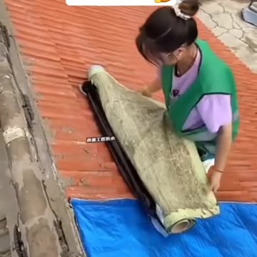 Sie nennen uns Verschwörungstheoretiker