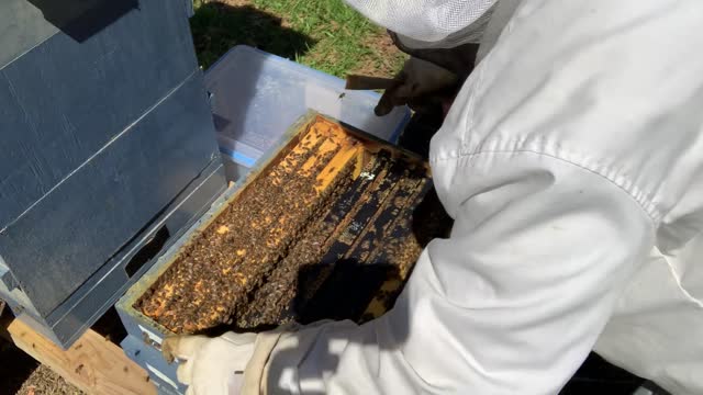 S4E13 - April 25, 2021 CHECKING HIVES - UH OH😱 - DID WE OTS TOO SOON?
