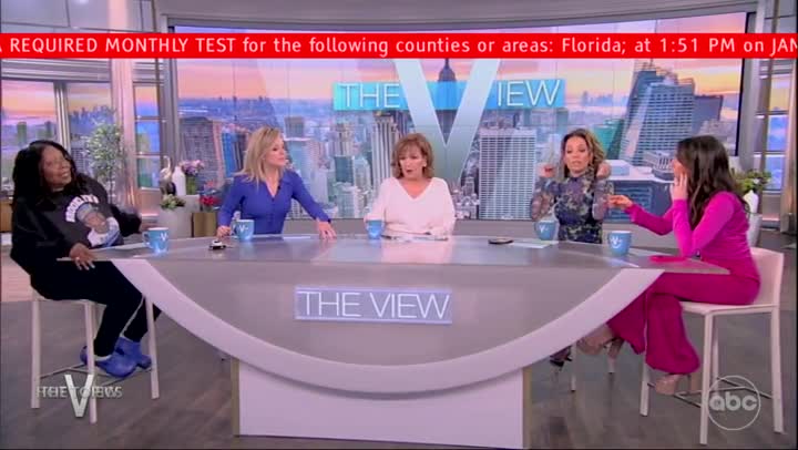 'I Was Skewered': 'The View' Co-Hosts Spar Over Gun Laws