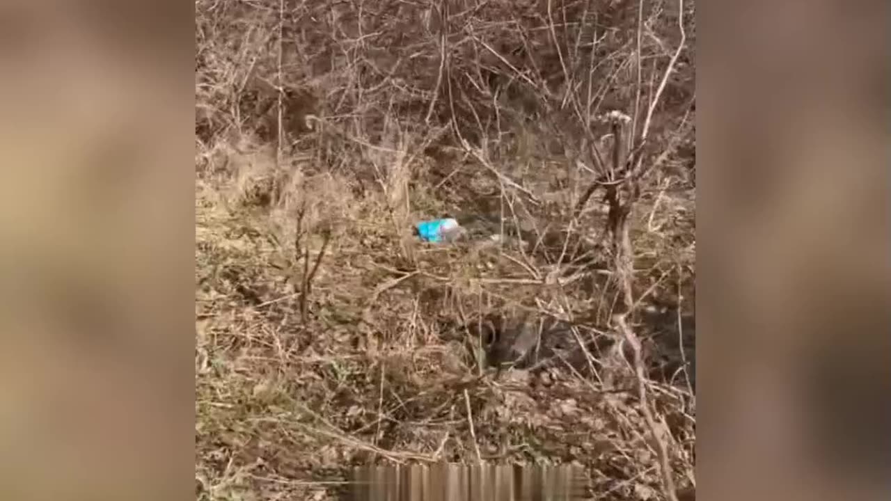 War in ukraine Donbass