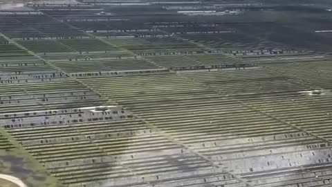 Solarpark...
