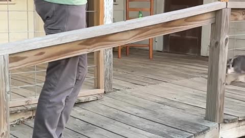 The Almost Showdown at the White Mule Saloon