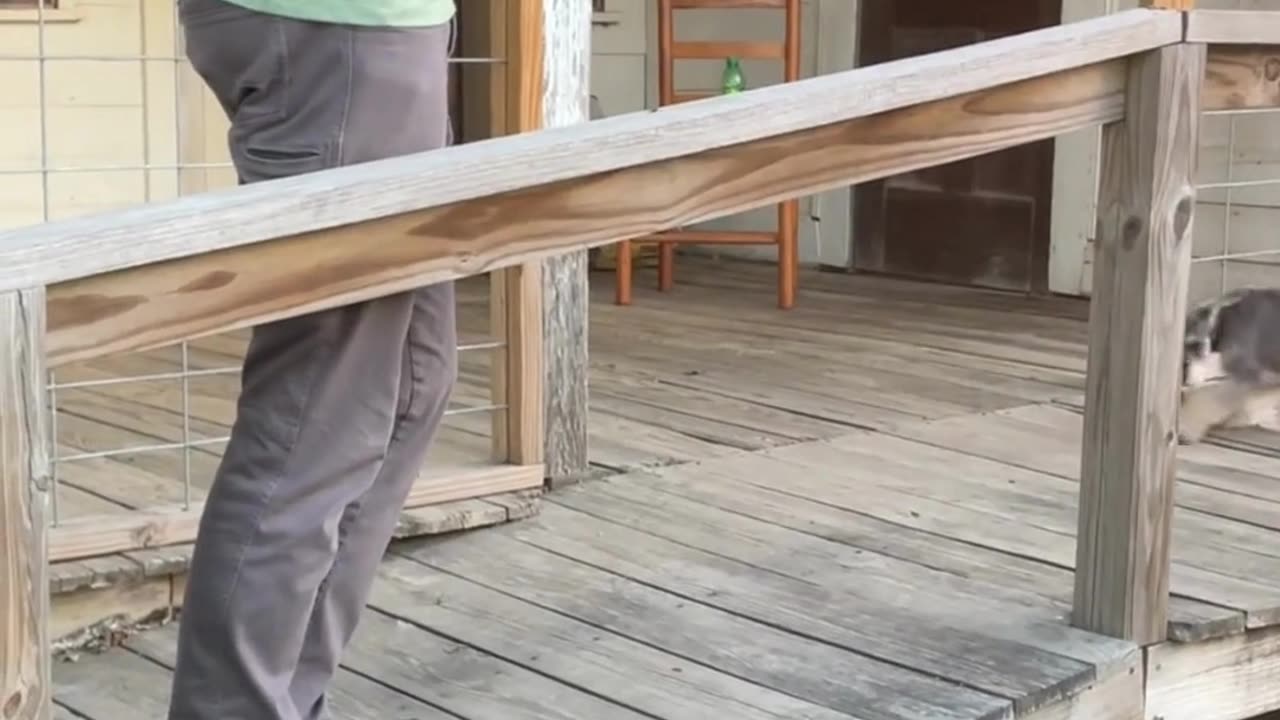 The Almost Showdown at the White Mule Saloon