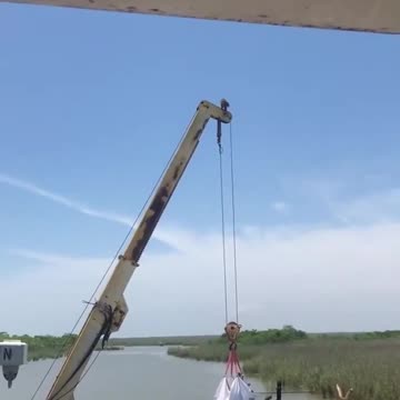 Funny Raccoon Climbs Up Crane!