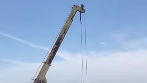 Funny Raccoon Climbs Up Crane!