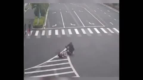 "Hilarious Hen Hunts, Dog vs. Cat, and Funny Parrot Antics - Funniest Video Compilation"