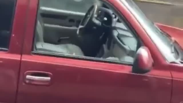 Nine Cars Broken Into On One Block In Shithole Seattle