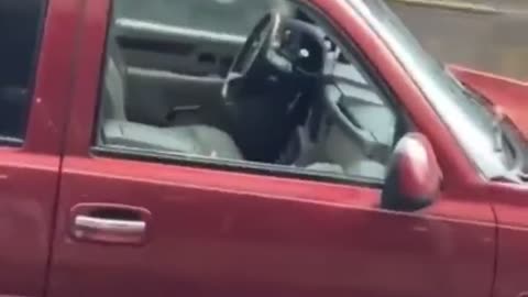 Nine Cars Broken Into On One Block In Shithole Seattle