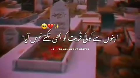 Whatsapp Status