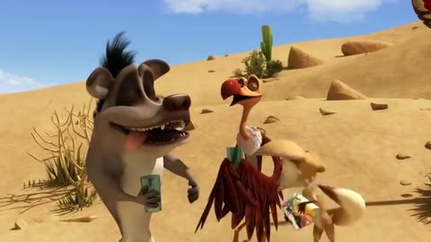 Funy animal video