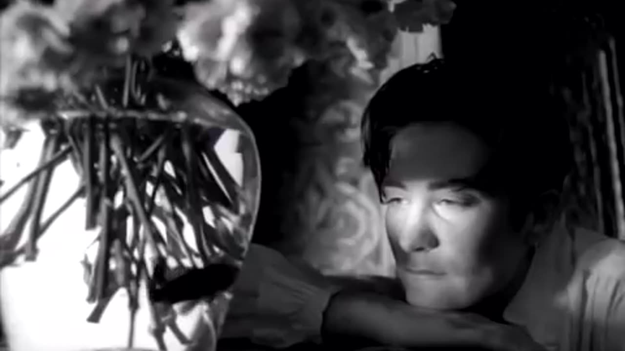 k.d. lang - Constant Craving (Official Music Video) | Warner Vault