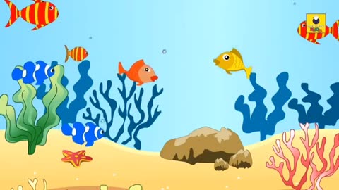 Cleaver fish 🐟🐟