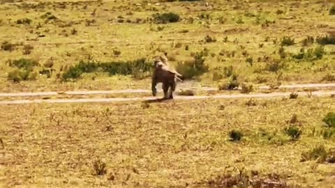fast and furious