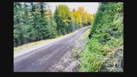 WRC P2