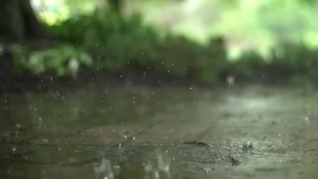 RAIN DROPS SOUND BEFORE NIGHT SLEEP