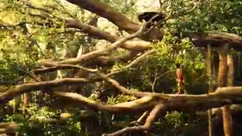 Jungle Book Holly Wood English Movie Urdu Dubbing