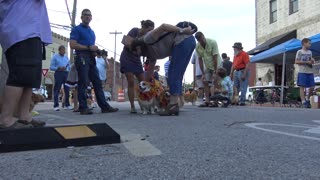 Corgi Parade