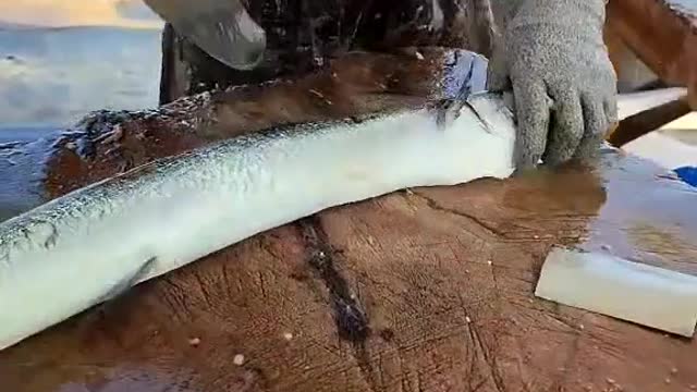 Hound fish 🐠🐟 cutting ✂️ skills