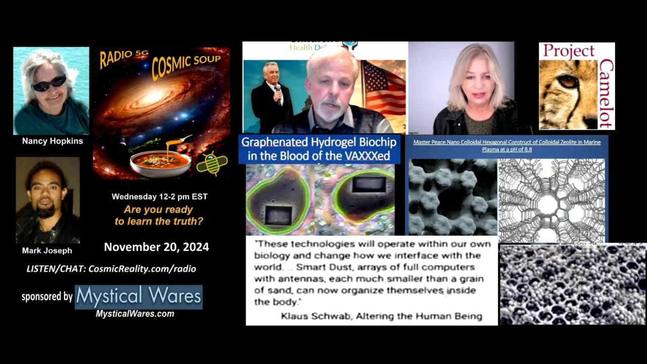 COSMIC SOUP 11/20/24 - Dr Young-Kerry Cassidy Discussing Nanotech