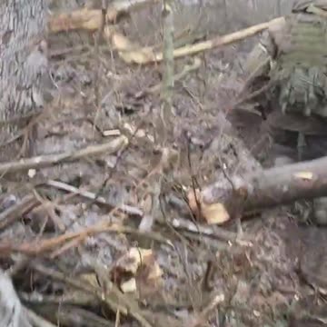 War in ukraine Bakhmut