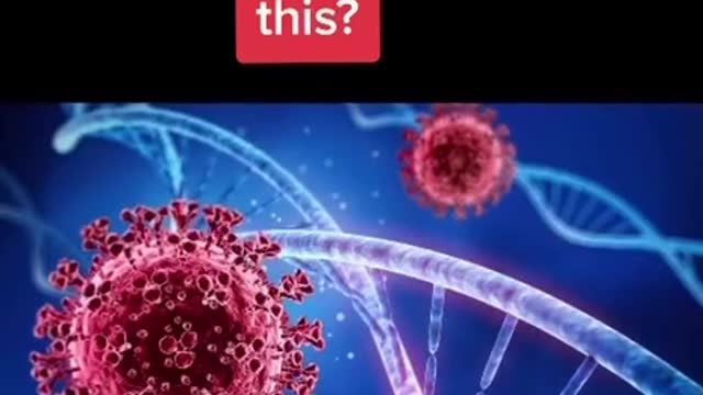 Logistics of development & distribution