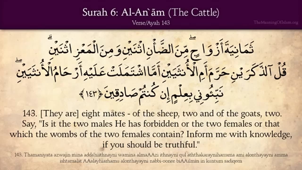 Quran: 6. Surah Al-An'am (The Cattle): Arabic and English translation HD 6 / 114