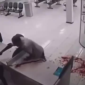 Nigger be leaking.mp4