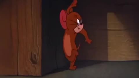 Tomm and Jerry Lovely fights