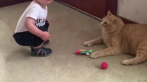 My one year old sons first encounter with a cat. (which was twice the size of our dog,