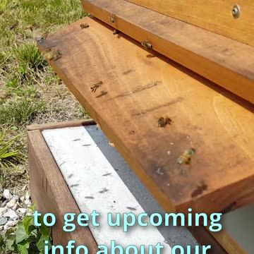 Rain Can't Get Into Beehive Entrance Design