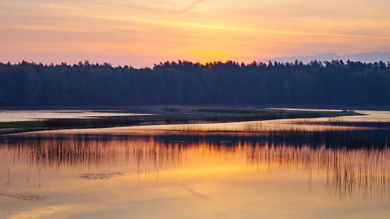 ECHOES | RELAXATION.