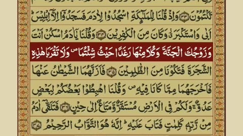 Quran 1 para with urdu translation “part 20„