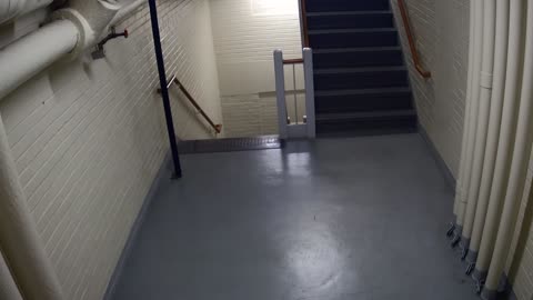 3891FHOB05Stair4_2021-01-05_21h00min02s723ms.mp4