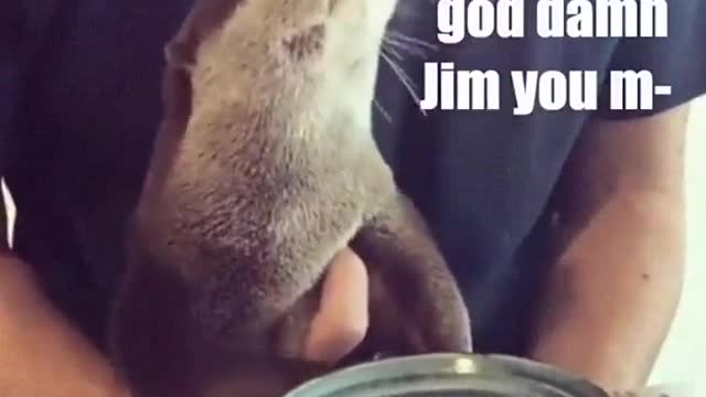 The last bite