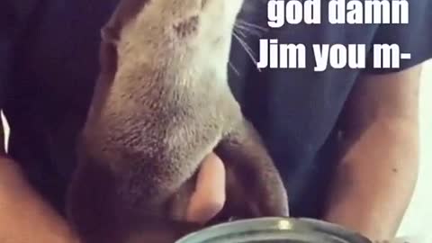 The last bite