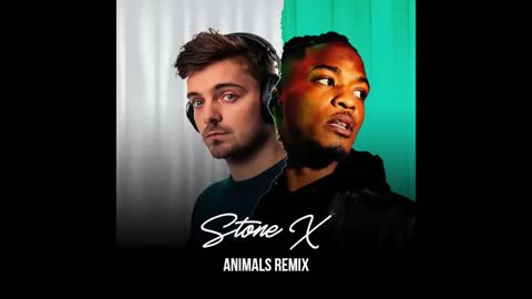 NISKA ft. MARTIN GARRIX - ANIMALS (STONE X)