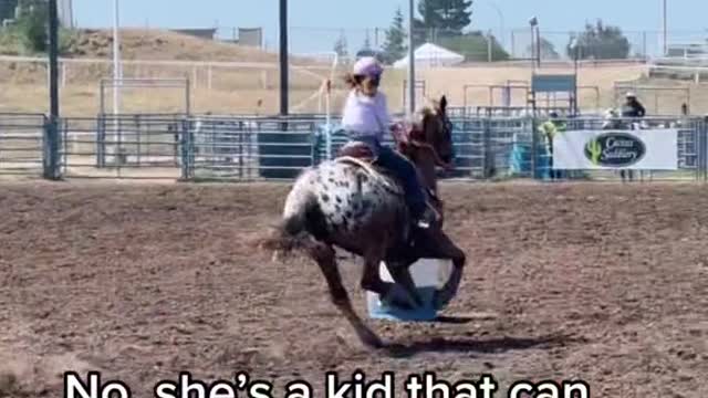 Is he a safe kid horse?