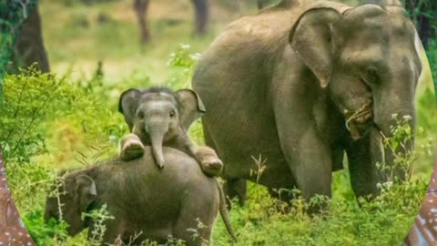 Beautiful place , Yala National Park , Nature