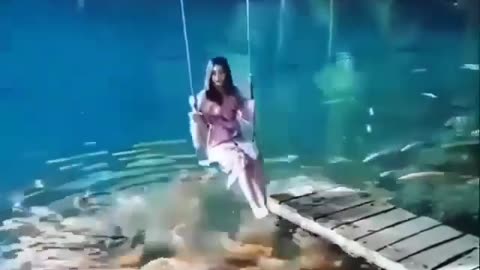 This is a beautiful and charming water-dwelling species