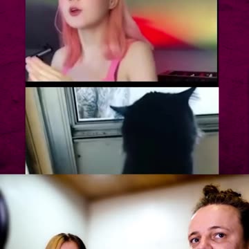 I FEEL you cringe cat 😂😂😂 #short #meme #funny #cat