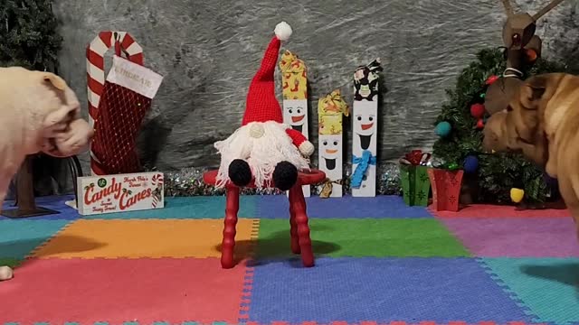 Aurora & Tindrah's "PAWMADE WITH LOVE❤️" ITDC Task 4 November 2022