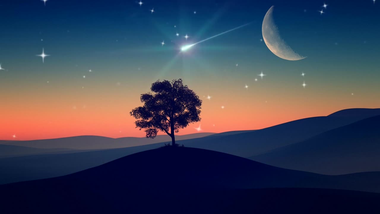 Night Sky No Copyright Video Moon Copyright Free Video Stars Free Stock Video Tree Free Footage