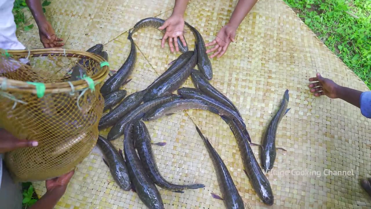 SNAKEHEAD MURREL FISH | Viral Meen | River Fish Fry Cooking In Village | Village Fish Fry Recipe