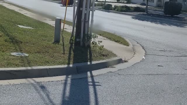 Massive Wheel of Wire Rolls Away